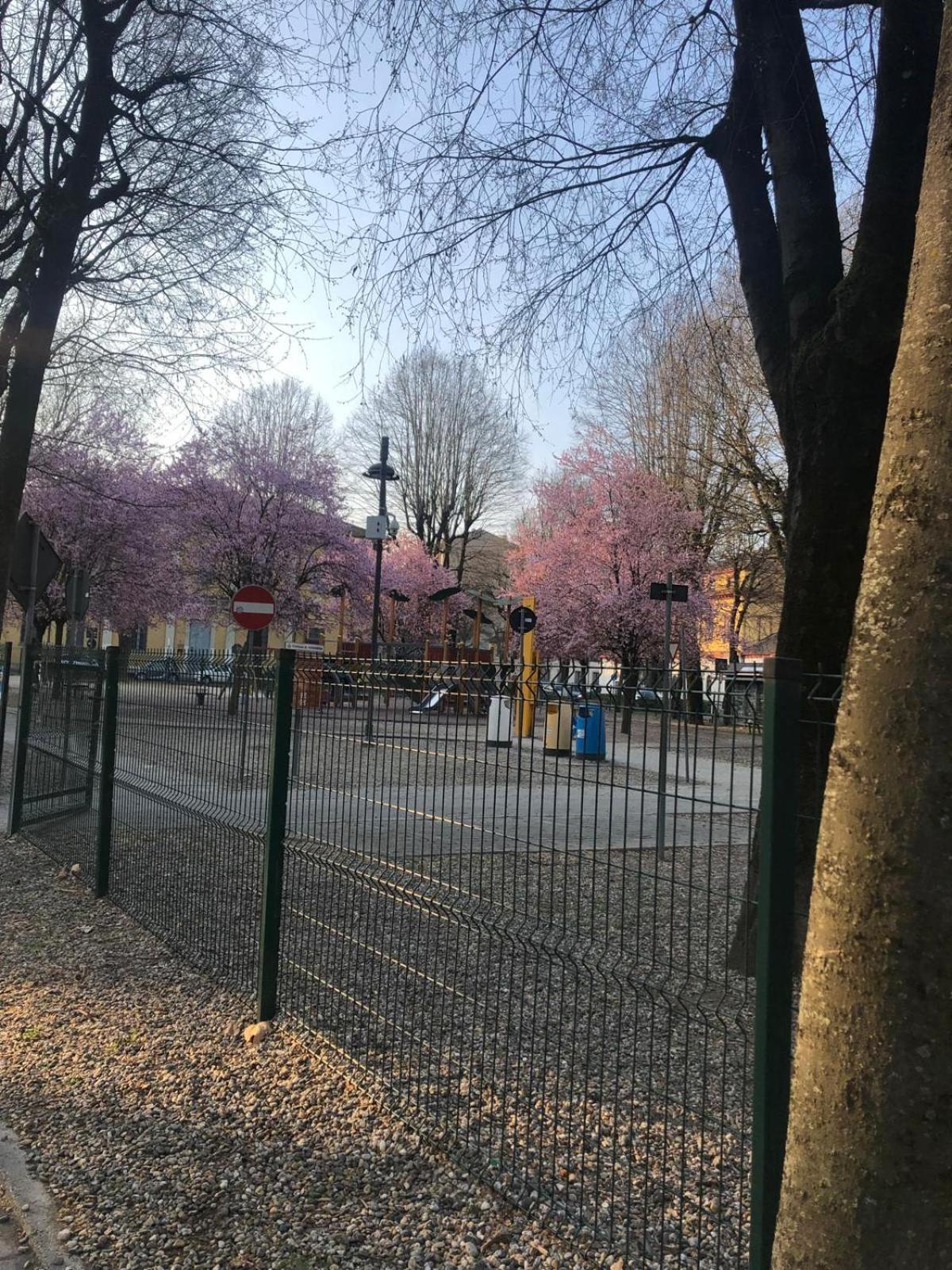 Casa Polly 2 - Ampio E Comodo Appartamento A Voghera Bagian luar foto